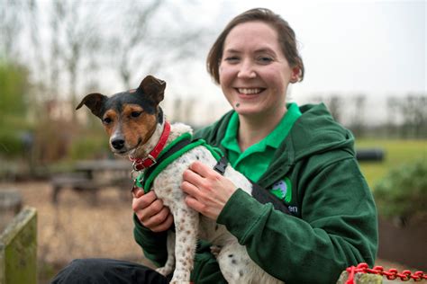 charity shops spalding|Woodgreen Pets Charity .